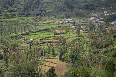 Nilgiri-Blue-Mountain-Train,  Coonoor - Ooty_DSC5537_H600